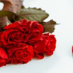 50代からの婚活成功術、運命の出会いを引き寄せた“3つの習慣”とは？